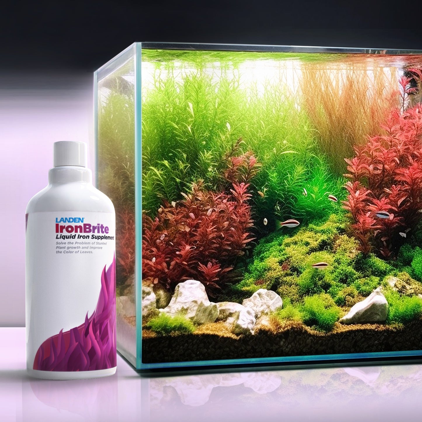 LANDEN IronBrite Liquid Iron Supplement Solves The Problem of Stunted Plant Growth and Improves The Color of Leaves