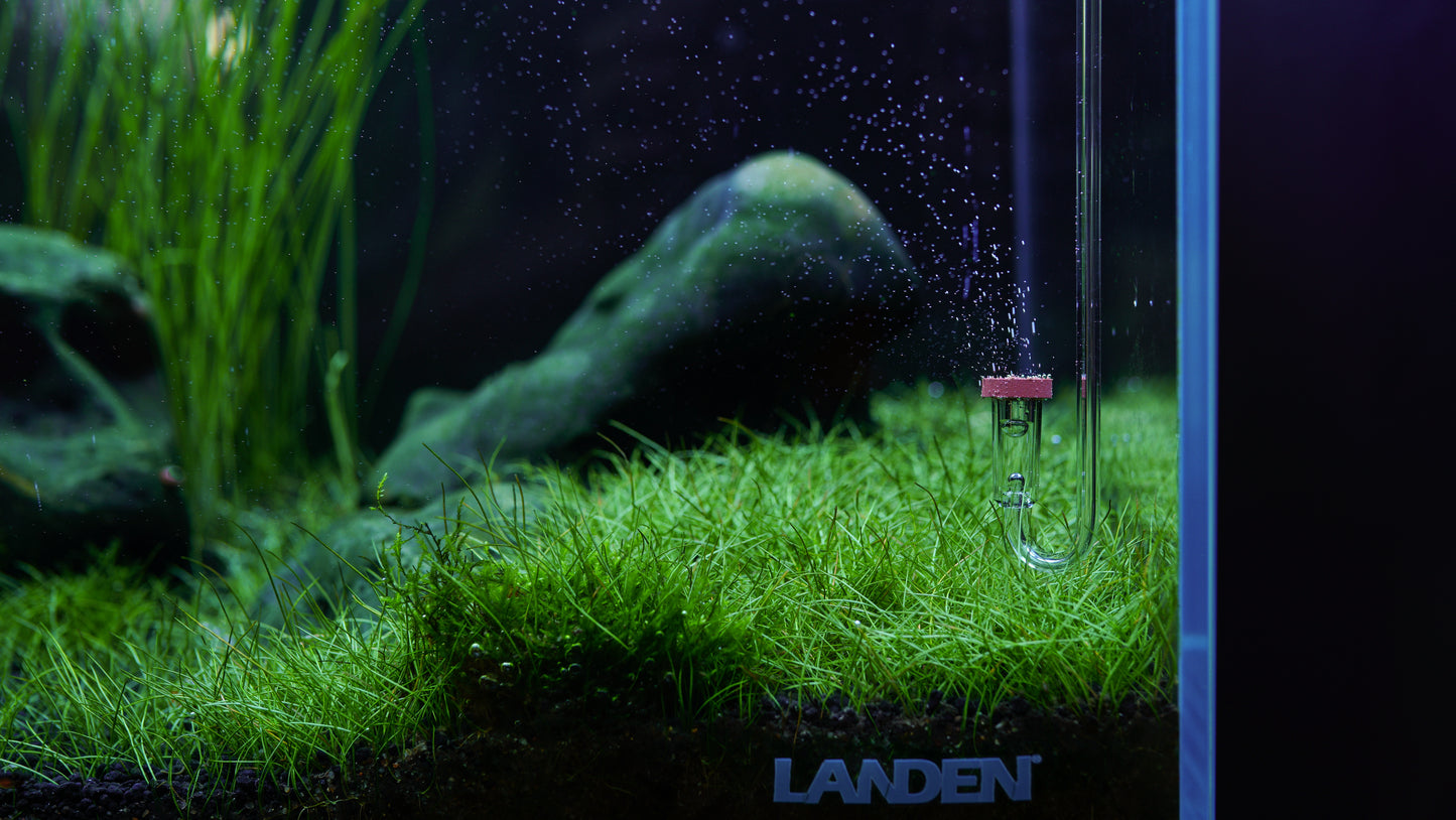 LANDEN AERVITA CO2 Diffuser Kits, Professional Aquarium CO2 Diffuser with High Efficiency, Suitable for Aquariums Between 10-30gal (40-110L).