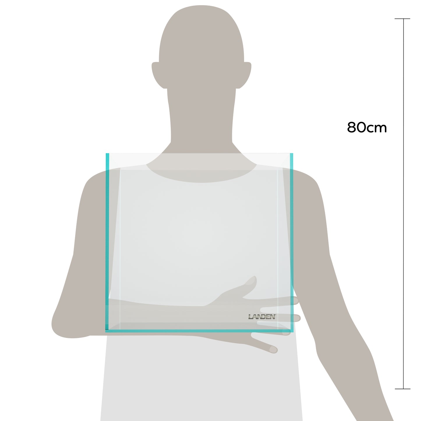 Landen 30C 6.6 Gallon Rimless Low Iron Aquarium Tank, 11.8" L × 11.8" W × 11.8" H (30cm x 30cm x 30cm)