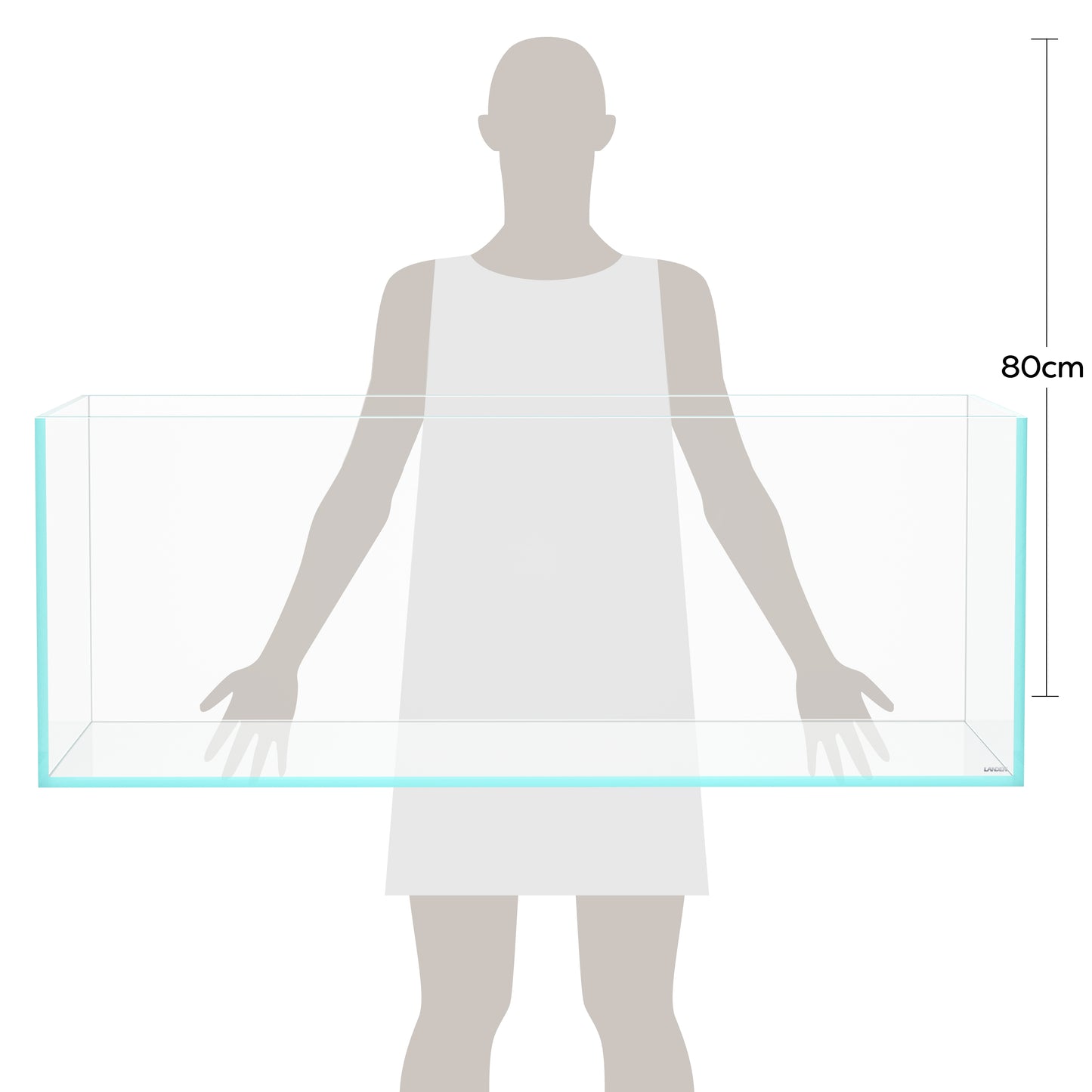 LANDEN 120P 78.4 Gallon Rimless Aquarium Tank