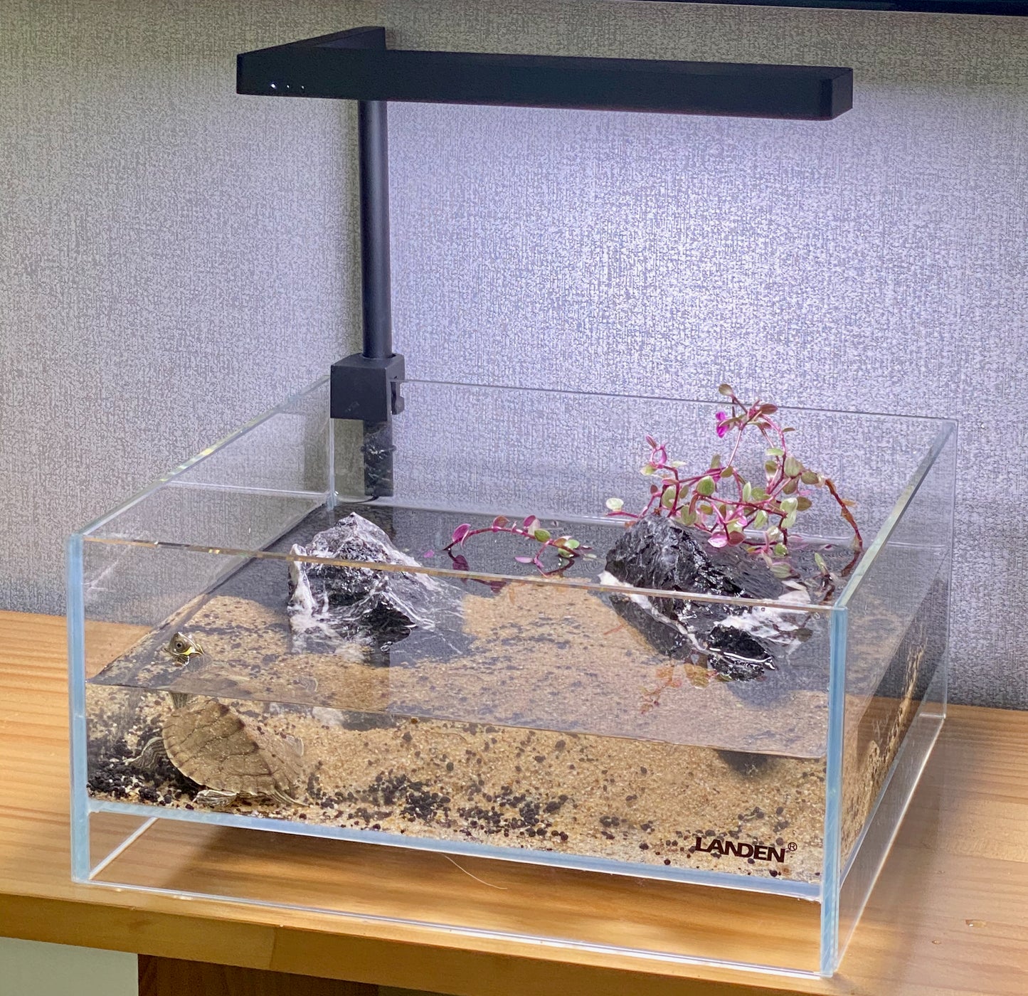 LANDEN Glass Air Aquarium Tank Multi-SceneLandscape Aquarium, 1.6Gallon Rimless Low Iron Shallow Tank,10.63" W×10.63" D×4.72" H (27cmx27cmx12cm)