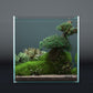 Landen 30C 6.6 Gallon Rimless Low Iron Aquarium Tank, 11.8" L × 11.8" W × 11.8" H (30cm x 30cm x 30cm)