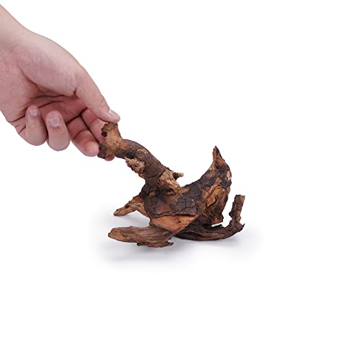LANDEN Panna Driftwood, Natural Wood for Aquarium, Terrariums, Vivariums, Reptile and Amphibian Enclosures Aquascaping Decor - L (8-12 inches, 20-30cm), 6pcs