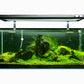 Landen 100P 50 Gallon Rimless Low Iron Aquarium Tank, 39.37" W × 17.72" D × 17.72" H (100cm x 45cm x 45cm)