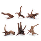 LANDEN Panna Natural Driftwood for Aquarium Decor Freshwater Fish Tank(8-12 inches, 20-30cm) 6pcs Terrariums Vivariums Reptile and Amphibian Enclosures Lizard Bearded Dragon Tortoise Various Shapes