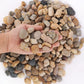 LANDEN Balagen Aquarium Sand River Rocks Stones,4L,14-38mm