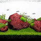 LANDEN Red Lava Stones for Aquascaping Terrariums(15.5lbs,3-10 inches)11pcs