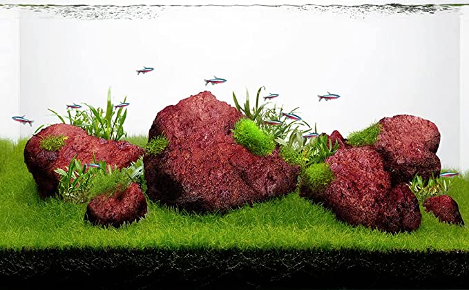 LANDEN Red Lava Stones for Aquascaping Terrariums(15.5lbs,3-10 inches)11pcs