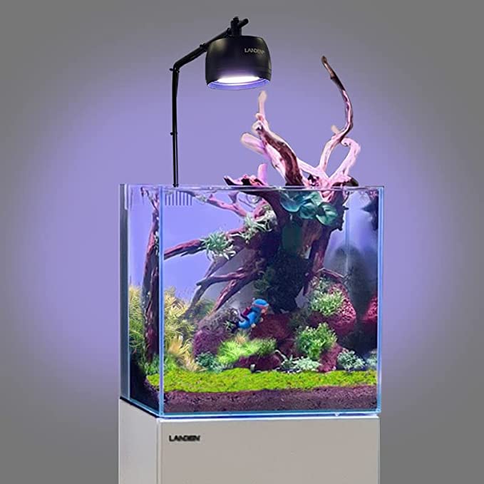 LANDEN Red Lava Stones for Aquascaping Terrariums(15.5lbs,3-10 inches)11pcs