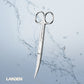 LANDEN Stainless Steel Pro Sprint Scissors Trimming Scissors and Tweezers for Aquatic Plants Aquatic Organisms and Amphibians