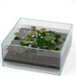 LANDEN Glass Air Aquarium Tank Multi-SceneLandscape Aquarium, 1.6Gallon Rimless Low Iron Shallow Tank,10.63" W×10.63" D×4.72" H (27cmx27cmx12cm)