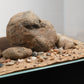LANDEN Balagen Aquarium Sand River Rocks Stones,4L,4-15mm