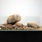 LANDEN Balagen Aquarium Sand River Rocks Stones,4L,14-38mm